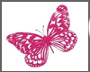 Butterfly Toybox