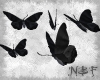 Five dark butterflies