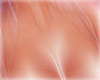 Pure touch V3