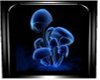 Blue Mushrooms Framed