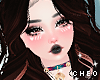 𝓒. BLITZEN panchiti