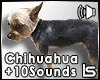 LS*Chihuahua+10Sounds
