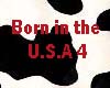 Born in the USA 4