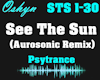 See The Sun - Aurosonic
