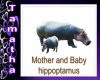 mom and baby hippo pic