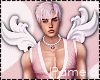Cupid's Bow Bundle Male
