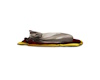(Asli)SleepingCat