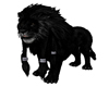 lion black