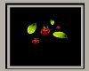 Ladybug Tee Shirt F