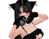 Miau :3