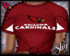 !PS 🏈 Cardinals Top F