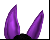 [Purple-ears]