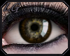 [LG] Coffee Eyes