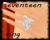 seventeen ring