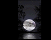 Moon Reflect Poster