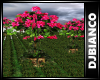 Nature DJ LIGHT