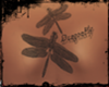 *NR*Dragonfly tattoo