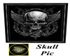 Skull Pic