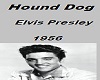 Hound Dog