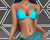 !CR Beach Party Bikini 5