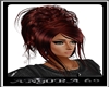 CASSIDY ( flerida )