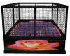 Rose Ballpit
