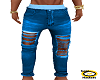 .(IH) JEANS XTRA RIPPED3