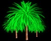 Neon Palms Tres