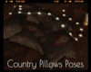 *Country Pillows/Poses