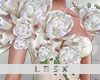 * Tea Spring Top M2