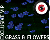 Grass n linseed flowers