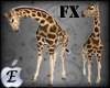 EDJ Giraffe Enhancer