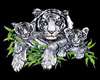 white tiger with cubs