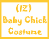 (IZ) Baby Chick Costume