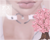 meow// heart choker