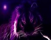 Purple Tiger <3