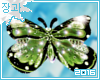 [LW]Butterfly Rug