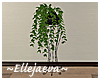 Lux Vase & Ivy Plant