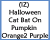 Cat Bat On Pumpkins O2Pu