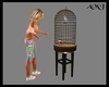 Cage / Bird Animated