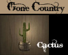 Gone Country Cactus