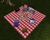 Campground Picnic