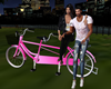 Pink Animate Bicycle W/P