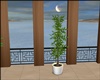 ☺S☺ New/Plant