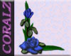 Blue Rose Avatar Frame