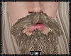 v. Blonde Beard