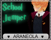 [A]School Jumper