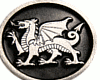 (RD) Celtic dragon