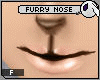 ~DC) Furry Bwn Nose Numi