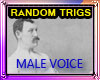 Voice Box